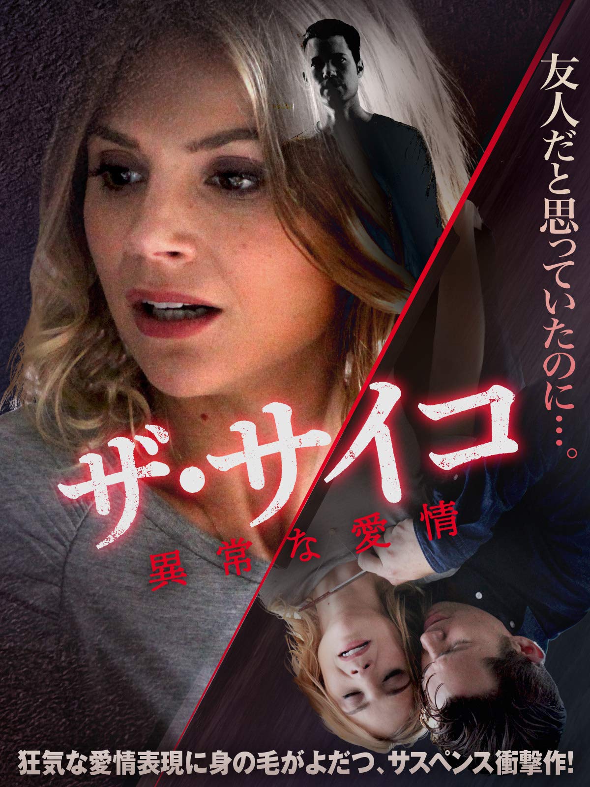 Amazon Co Jp 復讐のセクレタリー 字幕版 を観る Prime Video