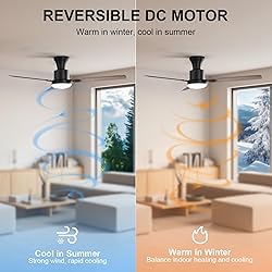 Obabala 60" Ceiling Fan with Remote, LED
