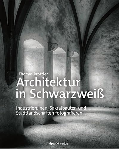 Download Architektur in Schwarzweiß: Industrieruinen, Sakralbauten und Stadtlandschaften fotografieren PDF