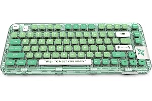 GK GAMAKAY GK75 75% RGB Transparent Gasket Mechanical Keyboard, Bluetooth/USB-C/2.4GHz 80 Keys Hot Swap Gateron Yellow Switch 2.0 KSA Profile PBT Keycaps Gaming Keyboard (Mint Green)