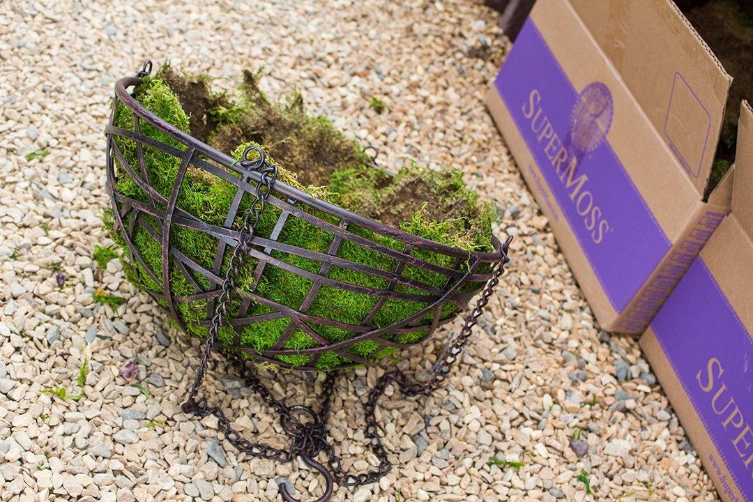 SuperMoss (21508) Preserved Sheet Moss, Fresh Green, 5 Pounds