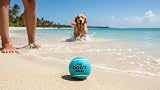 The Dog's Balls Dog Tennis Balls Blue Medium 12 Pack - Non-Abrasive Felt view 7