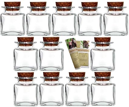 gouveo 12 Vasos de Kleine Corcho Mini 50 Incl. Corcho y 28 ...