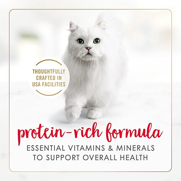 PURINA FANCY FEAST TENDER BEEF AND CHICKEN FEAST CLASSIC GRAIN FREE WET CAT FOOD PATE – (PACK OF 24) 3 OZ. CANS