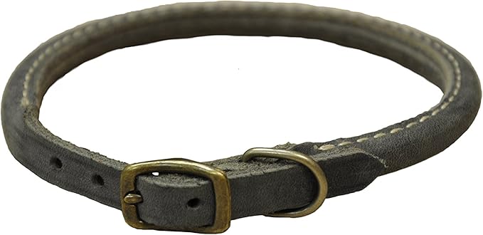 circle t rolled leather dog collar