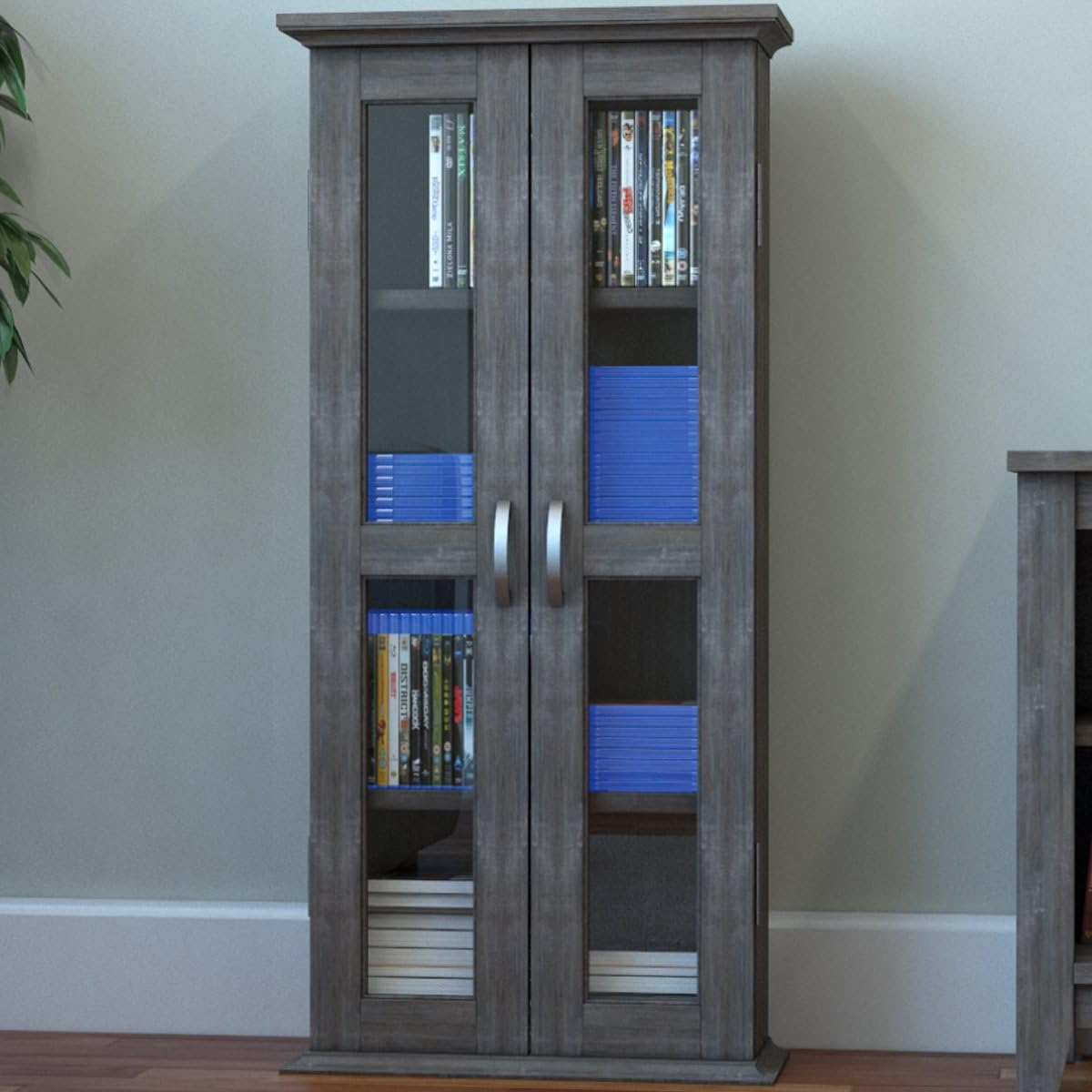 Best Glass Media Storage With Doors