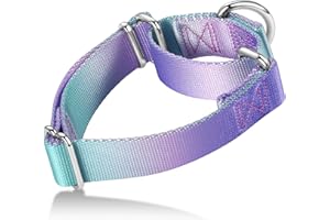 Axdvk Martingale Dog Collar Colorful Gradient Fashionable - Anti-Escape Soft Durable Pets Collar for Walking Training Outdoor Daily Use -Medium, Purple Green
