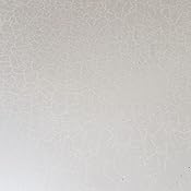 Frosted glass front door Frosted glass front door