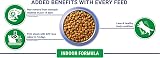 Purina One Indoor Adult Cat Food with Turkey 2.8kg Pack of 4 view 5