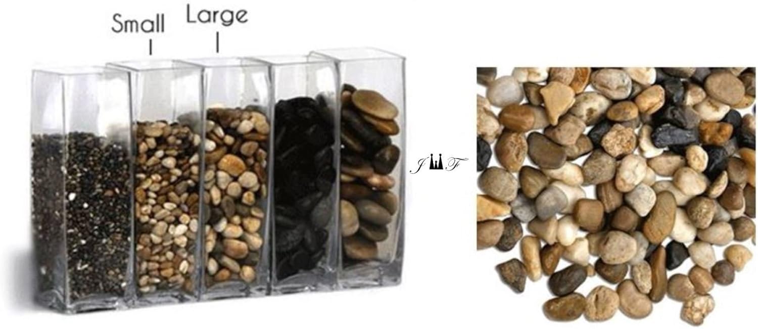 2 Pounds River Rock Stones - Natural Polished, Pebbles, Outdoor Decorative Stones, Natural Gravel, For Aquariums, Landscaping, Vase Fillers, Succulent, Tillandsia, Cactus pot, Terrarium Plants : Garden & Outdoor