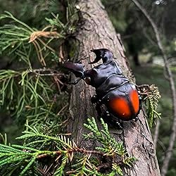 IFiDEA Animal Heavenly Body Series 11 Insect Chubby
