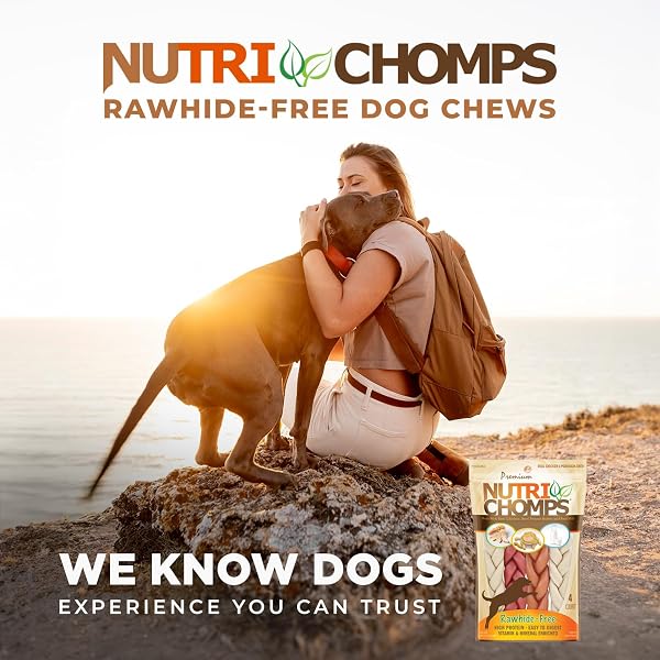NUTRICHOMPS DOG CHEWS, 6-INCH BRAIDS, EASY TO DIGEST, RAWHIDE-FREE DOG TREATS, HEALTHY, REAL CHICKEN, PEANUT BUTTER AND MILK FLAVORS, PACK OF 4