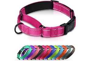 Erbine Neoprene Padded Martingale Collar for Dogs, Reflective Soft Nylon with Quick Release Buckle, Adjustable Dog Martingale Collars for Training & Daily Use (Hotpink,M)