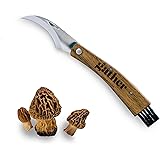 Gather Americana Mushroom Foraging Knife - 3 Inches High Carbon Steel Blade - Boar-Bristle Brush and Walnut Handle