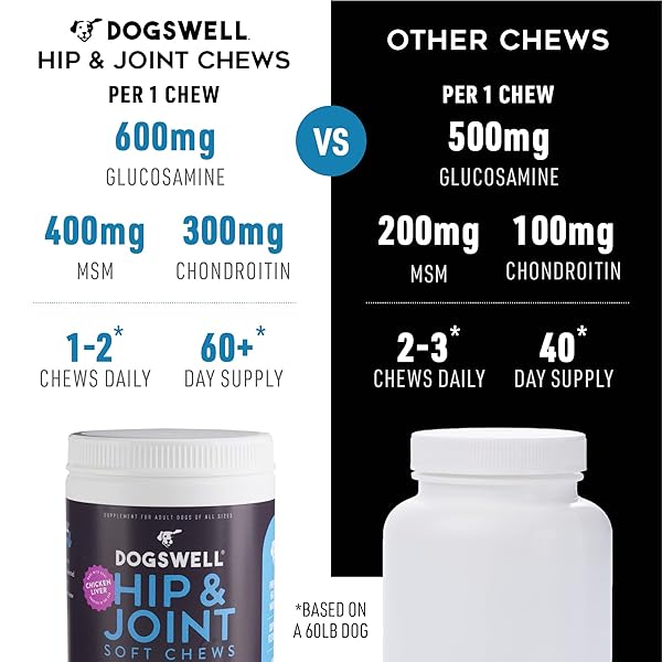DOGSWELL HIP AND JOINT SUPPLEMENT FOR DOGS – SOFT CHEWS WITH GLUCOSAMINE, CHONDROITIN, MSM, BOSWELLIA & TURMERIC, 1 POUND