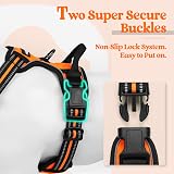 rabbitgoo Dog Harness Medium No Pull with 2 Leash Clips Reflective Orange M view 4