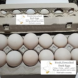 Unwashed Chicken Quail Duck Egg Carton Stickers 1