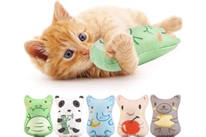 Dorakitten Catnip Toys for Indoor Cats - 5PCS Plush Cat Chew Toys Teething Interactive Catnip Filled Kitten Toy Soft Pet Toy
