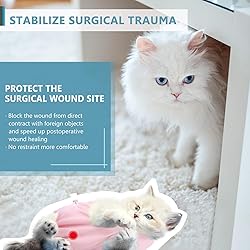 SUNFURA Cat Recovery Suit, Cat Onesie for Cats