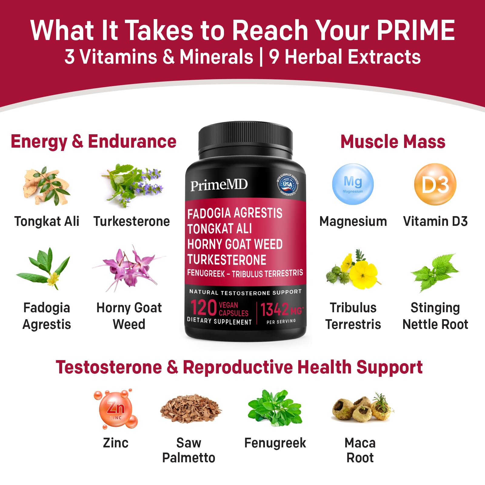 12-in-1 Fadogia Agrestis and Tongkat Ali for Men - Testosterone Supplement for Men with Turkesterone - Men's Health Supplement For Overall Well-being with 1342mg Per Serving (120 capsules) (Pack of 1)