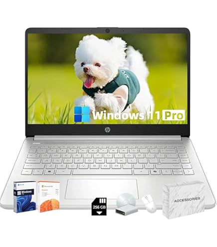 Amazon.com: HP ProBook 450 G7 Business Laptop, 15.6'' Full HD