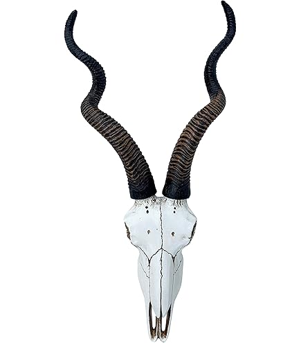 Amazon.com: Zeckos Decorative Filigree Design Hanging Deer Skull