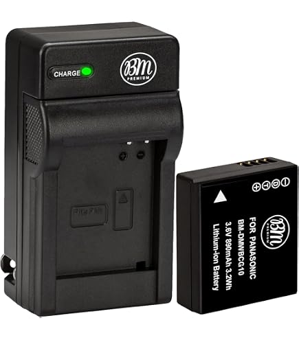 Amazon.com : Kastar Battery 2 Pack and Charger for Panasonic DMC