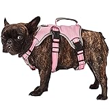 Dog Harnesses Escape Proof, Escape Artist