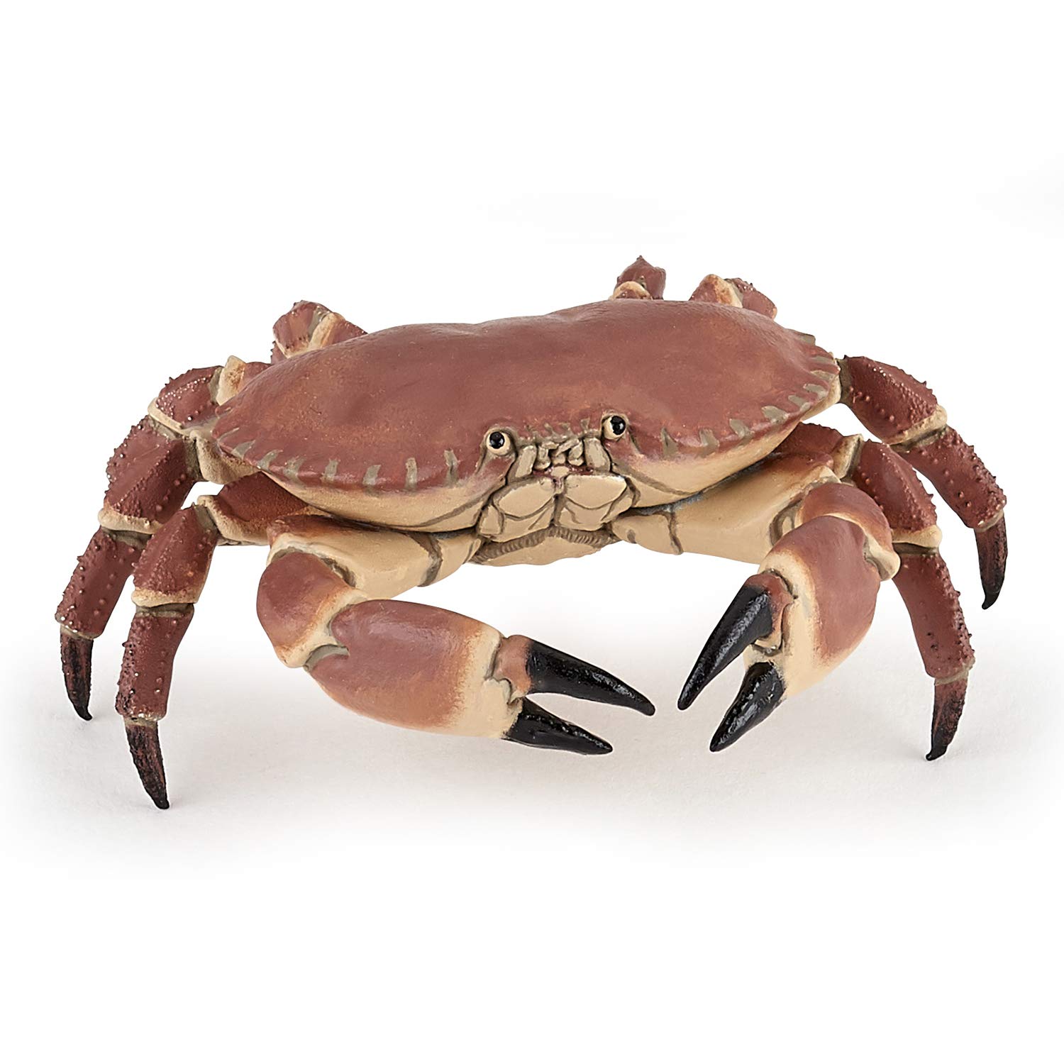 Papo - Realistic Crab Figure Toy for Kids - Ages 3+ - Marine Life Collection - Educational Play Ocean Discovery - Gift Idea Toy for Girls and Boys - 8 Cm X 7.5 Cm X 2.5 Cm