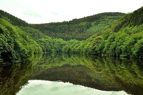 Amazon Co Jp 森の湖壁紙 自然壁紙 345 キャンバス ステッカー 印刷 壁紙ポスター はがせるシール式 写真 特大 絵画 壁飾り1cmx80cm ホーム キッチン