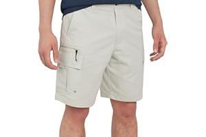 Quiksilver Men's Regular Fit Fixed Waist Water Friendly Active Hybrid Cargo Shorts (32-42