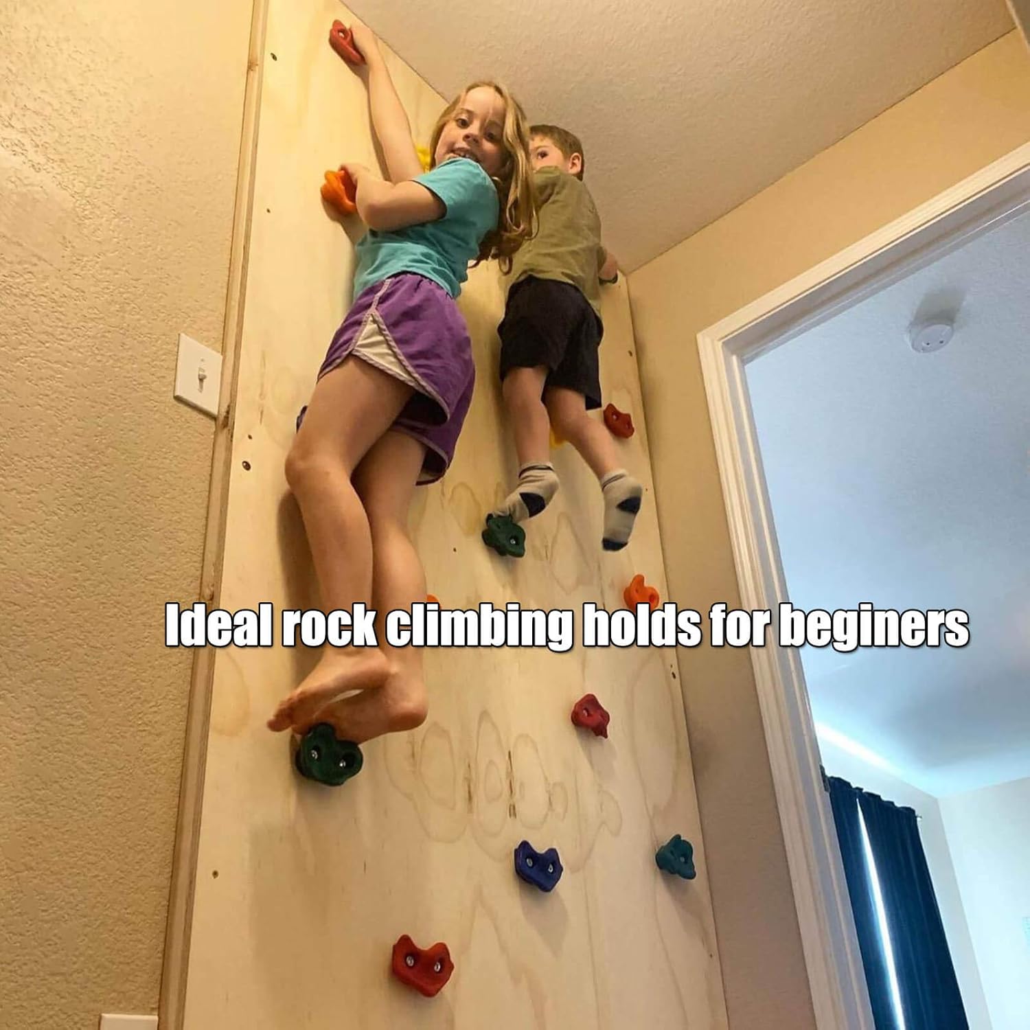 Orgrimmar 25PCS Rock Climbing Holds for Kids and Adults Rock Climbing Wall Grips for Indoor and Outdoor Play Set - Includes Screws and Mounting Hardware: Toys & Games