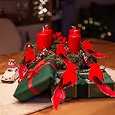 YCHTEWY-Cardinal Clip On Christmas Tree Ornament Decorations - Red Feathers Set of 12 Pieces Each is 4.5" Lon…