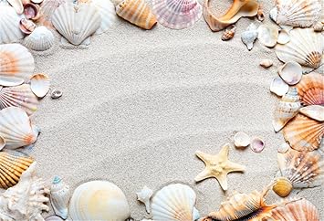 Amazon Com Csfoto 6x4ft Seashells On Sand Background Closeup Marin Starfish Frame Coast Photography Backdrop Beach View Landscape Studio Props Kid Artistic Portrait Children Room Decoration Wallpaper Camera Photo