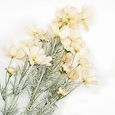 Giftmeet Artificial Flowers Fake Cosmos Flowers, 2 Bunches Wedding Bouquets Artificial Cosmos Flowers Bulk, 23.6 Inch Realistic Faux Silk Cosmos for Vase, Dining Table, Floral Arrangement (Champagne)