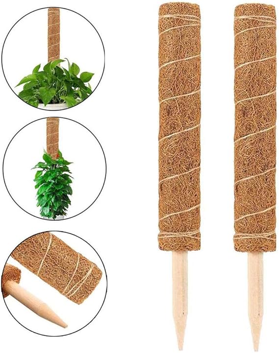 Pflanzstbe Holz 40 Cm Grn  10 Stck Gartensttzen Fr Blumen & Gemse  Gartenstbe 40 Cm
