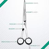 Focus World Hairdressing Scissors Set 6.5 Inches FW-SET-01 Japanese Stainless view 4