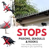 Defender Bird Spikes 5m Gutter Spike Pack for Pigeons & Seagulls view 3