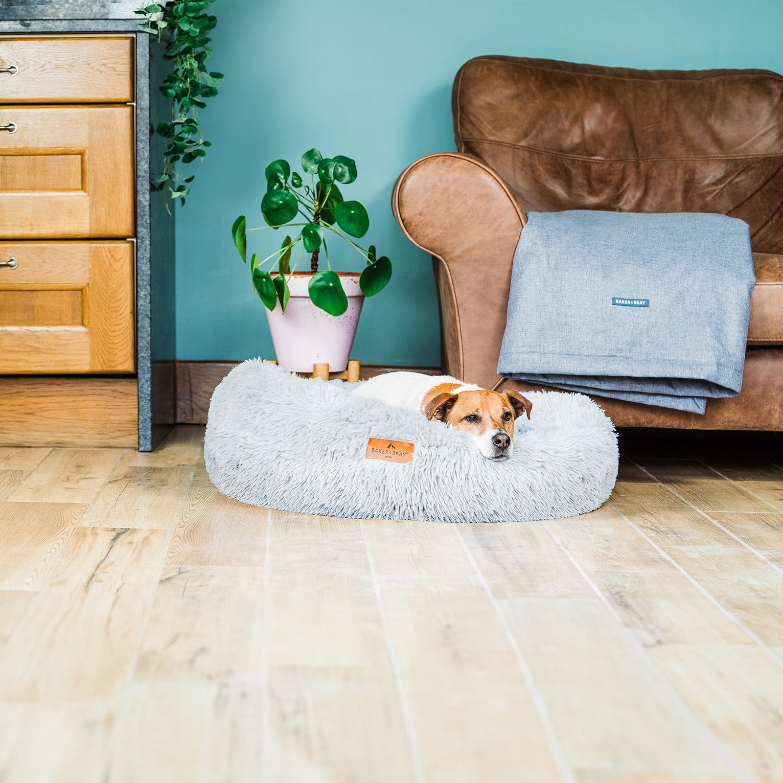 Baker and Bray - Eco Friendly Luxury Calming Donut Dog Bed, Light Grey, Machine Washable (Large 100 cm Diameter 20 cm Rim)