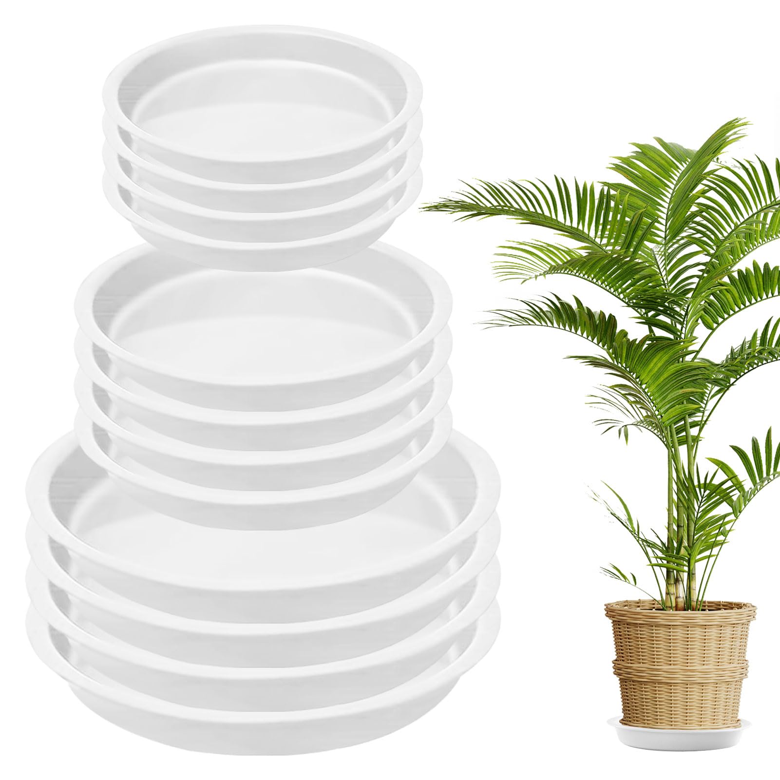 Nuqin Plant Pot Saucers - 12 Pack Plant Saucers,Durable Plastic Plant Trays for Pots,Plant Pot Trays in 3 Sizes,Waterproof Plant Saucer White - Ideal for Garden,Balcony & Home,Etc — image 1