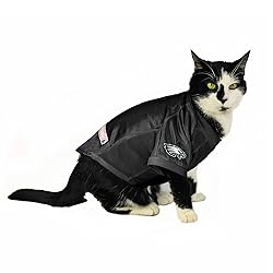 Littlearth NFL Philadelphia Eagles Stretch Pet