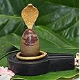 SHIVDEV CRAFT Narmadeshwar Shivling for Puja