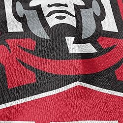 LOGOVISION East Stroudsburg University of