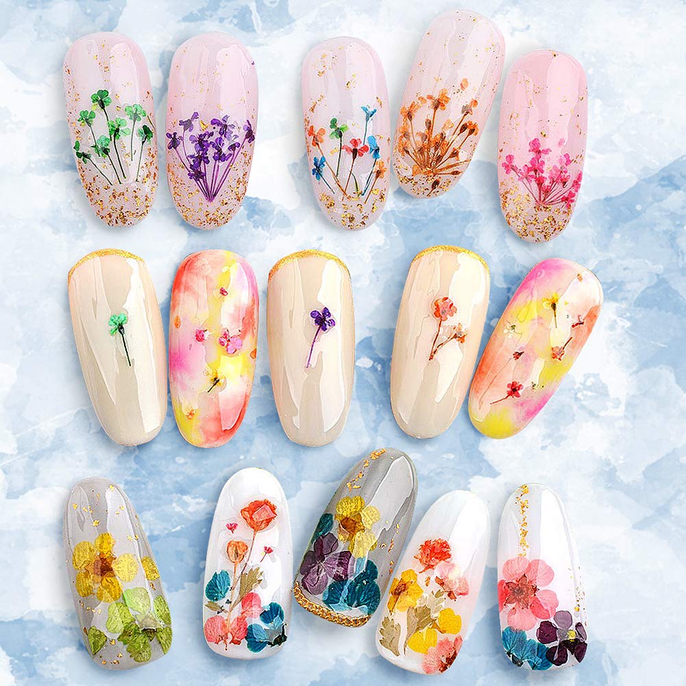 2 Boxes Dried Flowers for Nail Art, KISSBUTY 24 Colors Dry Flowers Mini Real Natural Flowers Nail Art Supplies 3D Applique Nail Decoration Sticker for Tips Manicure Decor (Gypsophila Flowers Leaves): Beauty