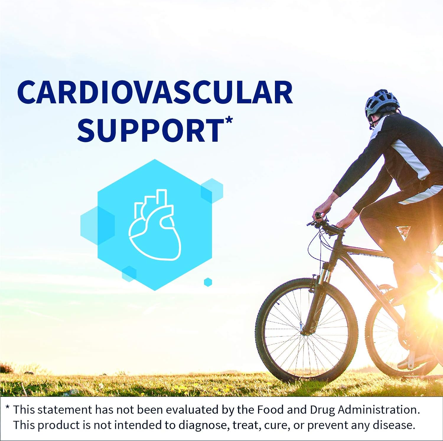 Klaire Labs L-Carnitine - 250 Milligrams 100% Pure USP Form to Support Cardiovascular Function & Energy Demands, Hypoallergenic with No D-Carnitine (60 Capsules) [Packaging May Vary]: Health & Personal Care