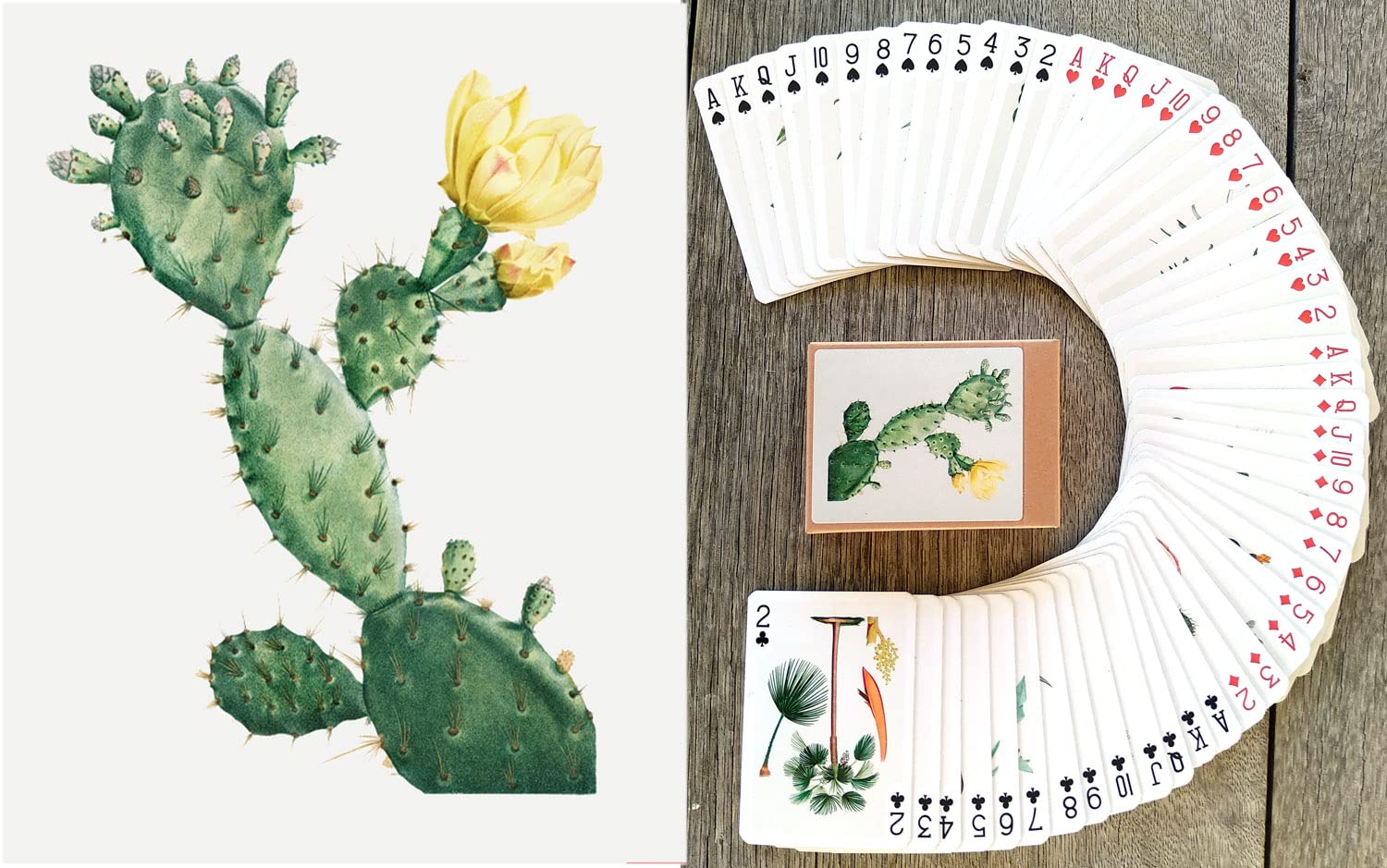 Cactus and Succulents Playing Cards (Poker Deck 54 Cards All Different) Vintage Antique Botannical Books Illustration by Pierre Redoute
