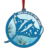 Manta Ray Christmas Ornament, Rayfish Gifts Stingray Coastal Ocean Theme Xmas Ornaments for Tree, Marine Life Underwater Keepsake Nautical Beach Scuba Diver Souvenir, Manta Ray is My Spirit Animal