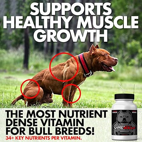 best vitamins for pitbull puppies