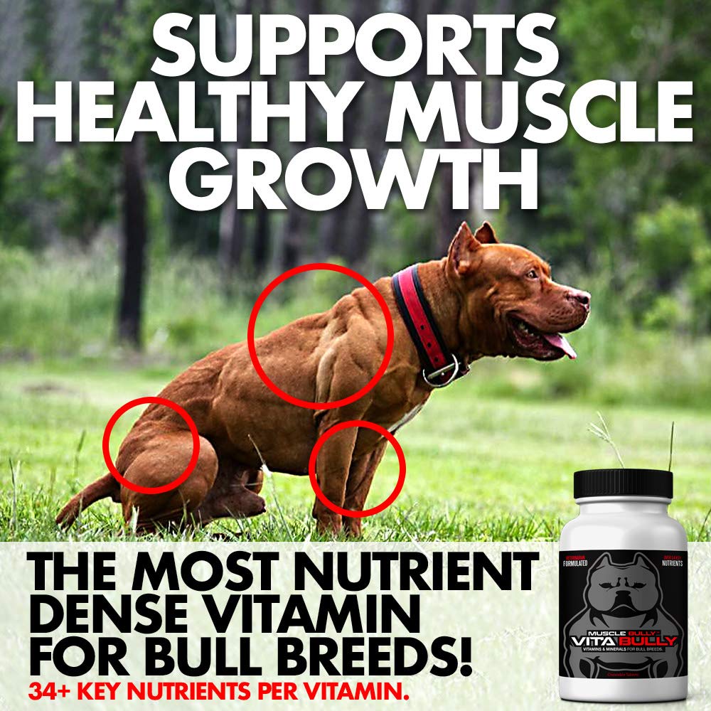 Vita Bully Vitamins for Bully Breeds Pit Bulls, American Bullies