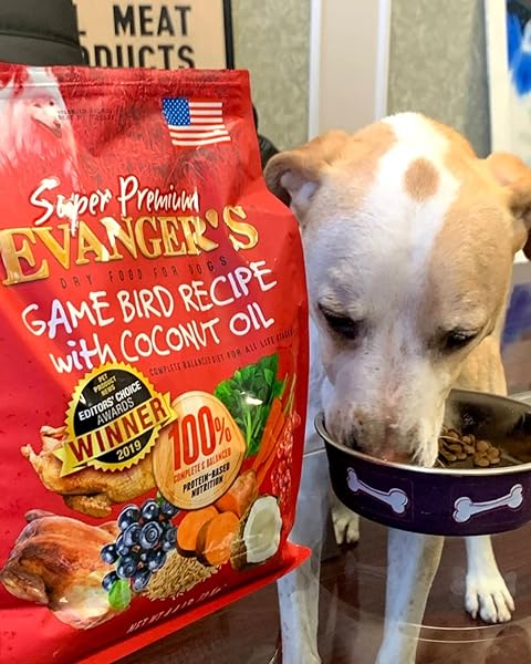 EVANGER’S SUPER GAMEBIRD RECIPE WITH COCONUT OIL DRY DOG FOOD – 4.4 LB BAG – HYPOALLERGENIC DUCK & TURKEY FORMULA – GRAIN-FREE, SUPPORTS DIGESTIVE & COAT HEALTH